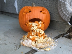 pumpkin.jpg